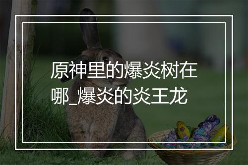 原神里的爆炎树在哪_爆炎的炎王龙