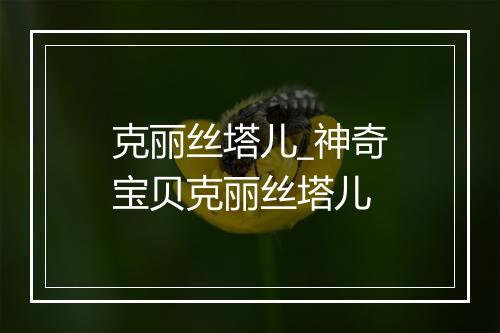 克丽丝塔儿_神奇宝贝克丽丝塔儿