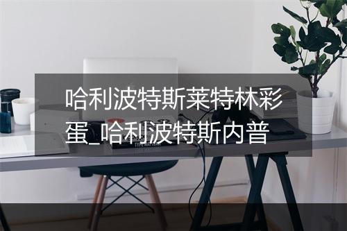 哈利波特斯莱特林彩蛋_哈利波特斯内普