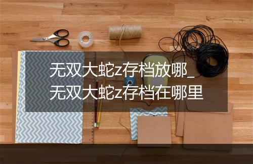 无双大蛇z存档放哪_无双大蛇z存档在哪里