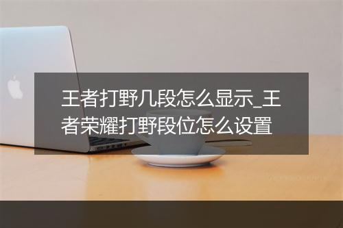 王者打野几段怎么显示_王者荣耀打野段位怎么设置